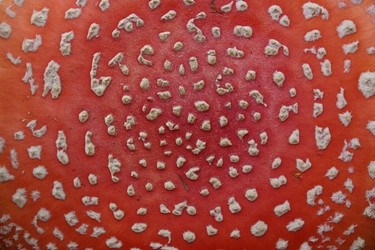 Similar image 1498020