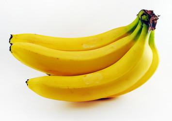 Similar image 1498027