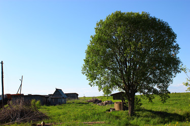 Similar image 1498028