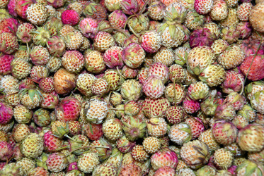 Similar image 1498047