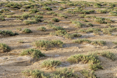 Similar image 1498051