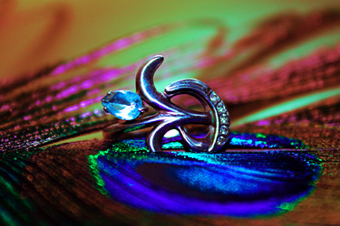 Similar image 1498063