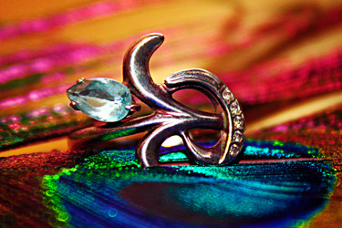 Similar image 1498064