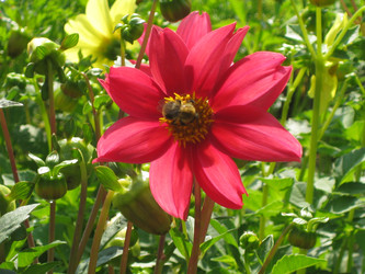 Similar image 1498067