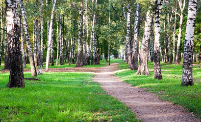 Similar image 1498071