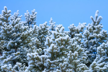 Similar image 1498076