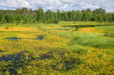 Similar image 1498077