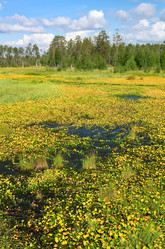 Similar image 1498078