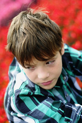 Similar image 1498112