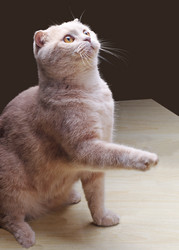 Similar image 1498113