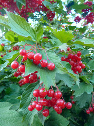 Similar image 1498126