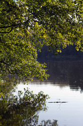 Similar image 1498170