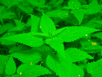 Similar image 1498171