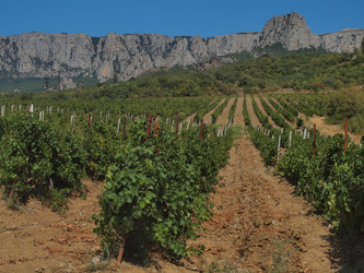 Similar image 1498174