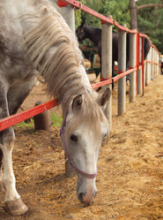 Similar image 1498177