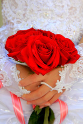 Similar image 1498178