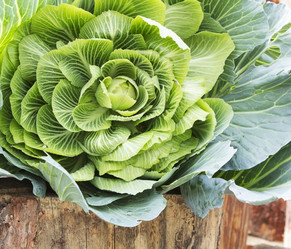 Similar image 1498181