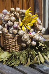 Similar image 1498183