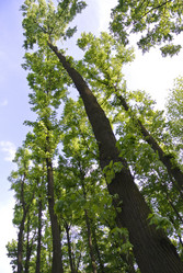 Similar image 1498185