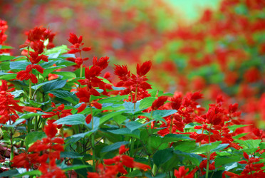 Similar image 1498189