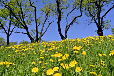 Similar image 1498190