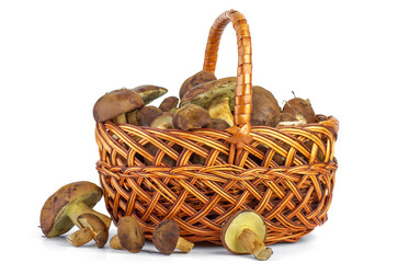 Similar image 1498202