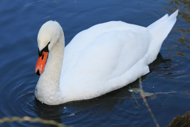 Similar image 1498205