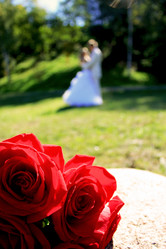 Similar image 1498207