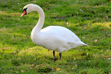 Similar image 1498208