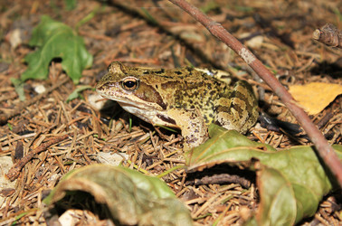 Similar image 1498210