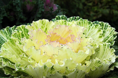 Similar image 1498219