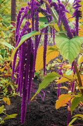 Similar image 1498220