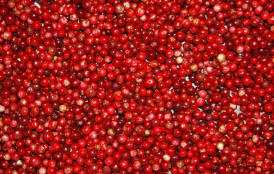 Similar image 1498221