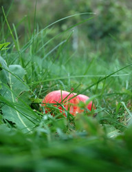 Similar image 1498222