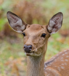 Similar image 1498250