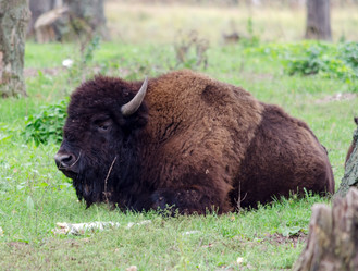 Similar image 1498251