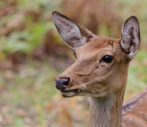 Similar image 1498252