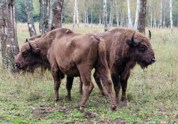 Similar image 1498255