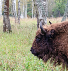 Similar image 1498256