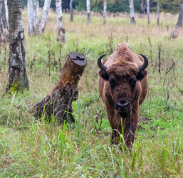 Similar image 1498257