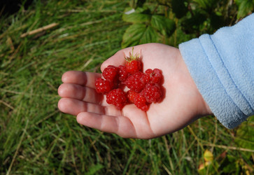 Similar image 1498266