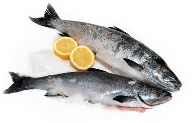 Similar image 1498268