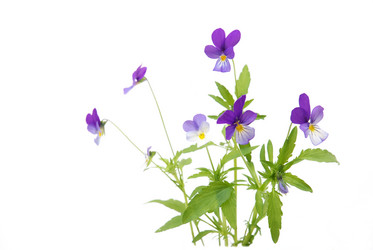 Similar image 1498270