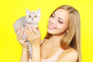 Similar image 1498271