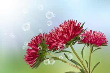 Similar image 1498285