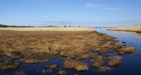 Similar image 1498289