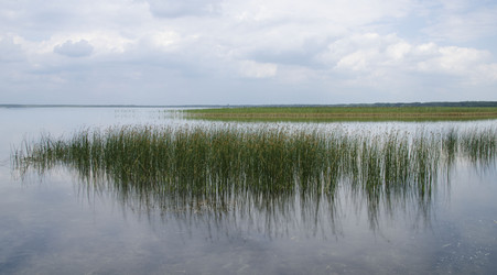 Similar image 1498291