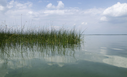 Similar image 1498294