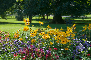 Similar image 1498300