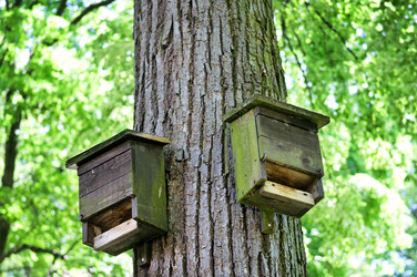 Similar image 1498301